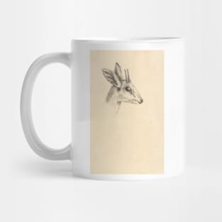 Antelope Head by Luigi Balugani. Mug